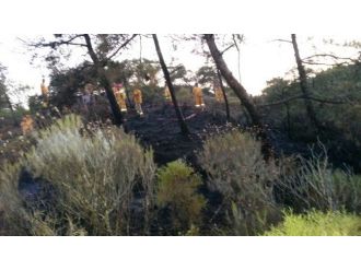 Milli Park Bölgesinde Çıkan Orman Yangını Büyümeden Söndürüldü