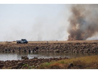 İdil’de Anız Yangınlarına Çözüm Bulunamıyor