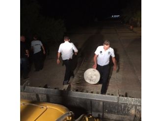 Zabıtadan Gece Şezlong Operasyonu