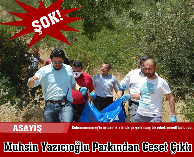 Ormanda Çürümüş Ceset Bulundu  