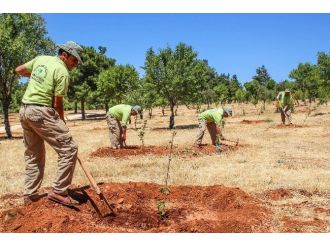 Şehitkamil Belediyesi’nin Örnek Projesi Meyve Verdi