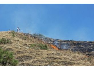 Salihli’de Ot Yangını Ormana Sıçramadan Söndürüldü