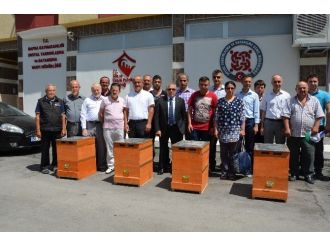 Bafra Sydv Boş Arı Kovanı Dağıttı