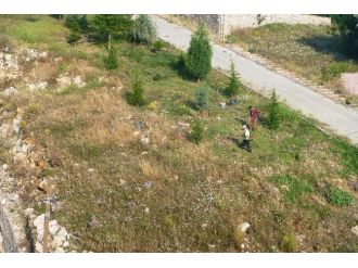 Yangın İhtimaline Karşı Kuru Ot Temizliği