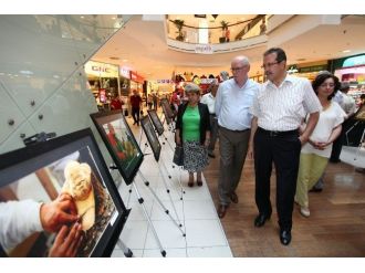 Ağaç Heykeller Fotoğraf Sergisi Açıldı