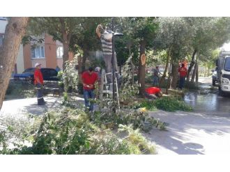 Karesi’nin Çehresi Değişiyor