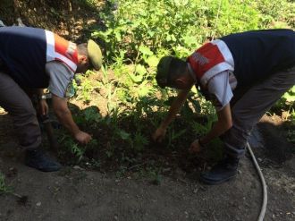 Bursada Uyuşturucu Operasyonu