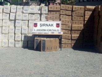 Şırnak’ta 519 Bin Paket Kaçak Sigara Ele Geçirildi