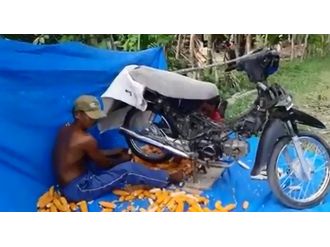 Mısır Ayıklamada Çığır Açan Yöntem