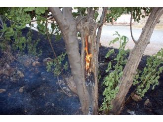 Kullanılmayan İkamet Kundaklandı