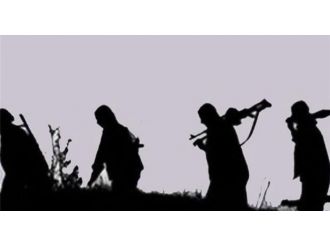 Şırnak’ta 5 Pkk’lı Teslim Oldu