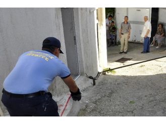 İtfaiye Erlerinin Yılanlarla Mücadelesi