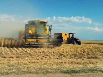 Buğday Hasadı Çiftçinin Yüzünü Güldürdü