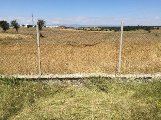 Hırsızlar, İşçilerin Hobi Olarak Beslediği Koyunları Çaldı