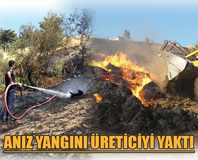 Anız Yangını Üreticiyi Yaktı
