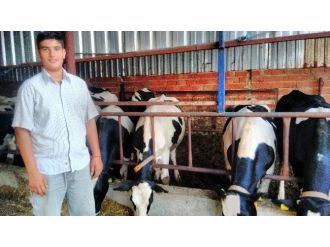 İnek Bakıp Okul Harçlığını Çıkarıyor