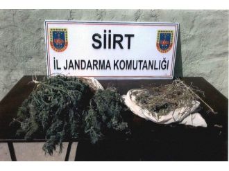 Siirt’te Uyuşturucu Operasyonu