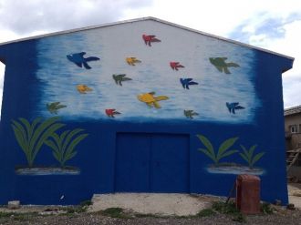 Su Ürünleri Fakültesinden Akvaryum Balıkları İçin Otelcilik Hizmeti