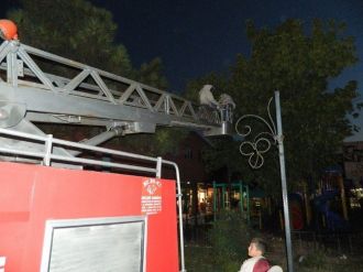 Çocuk Parkında İçinde Arıların Olduğu Kovan Bulundu