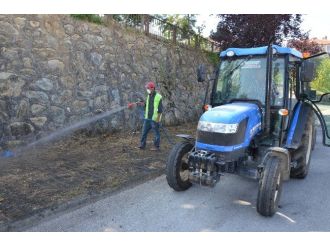 Düzce’de Kaldırımlarda İlaçlama Yapılıyor