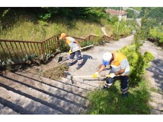 Düzce Belediyesi Kalıcı Konutlarda Mıntıka Temizliği Yapıyor