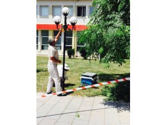 Kent Merkezinde Arı Sürüsü Endişeye Neden Oldu