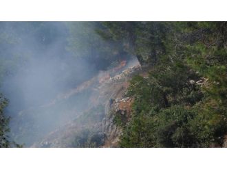 Hatay’da Orman Yangını