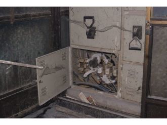 Malatya’da Trafoya Giren Kedi Telef Oldu