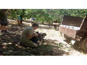 France 2 Tv, Kayısının Belgeselini Çekti