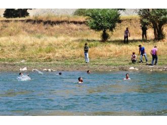 Muş’ta Nehre Giren Genç Kayboldu