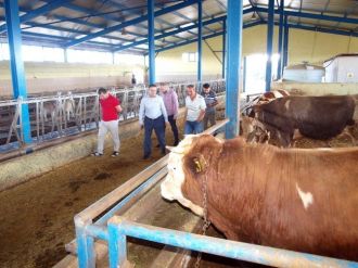 Ak Parti Yozgat Eski Milletvekili Coşkun: