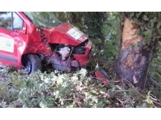 Kontrolden Çıkan Otomobil, Ağaca Çarptı: 1 Yaralı