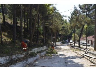 Protokol Üyeleri Plajda İncelemelerde Bulundu