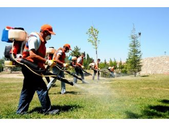 Çorum Belediyesi’nden 3 Koldan Sinekle Mücadele Çalışması