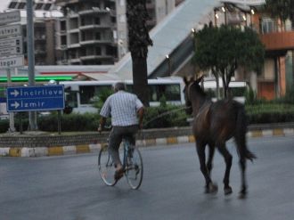 Küheylana Sahibinden Bisikletli Şehir Turu
