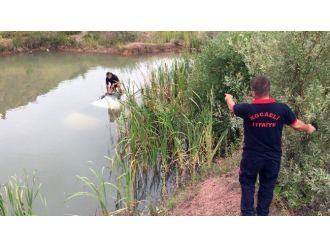 Otomobiliyle Gölete Uçan Sürücü Kendi İmkanlarıyla Kurtuldu