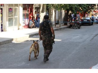 Polisin Şehit Edilmesine 17 Gözaltı