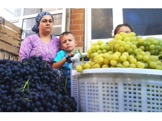 Dalından Pazara Taze Üzüm
