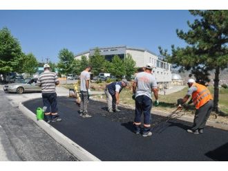 Yeni Parka Yeni Yürüyüş Yolu