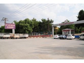 Van Et-balık Kurumu’nun Alanı Tuşba Belediyesi’ne Devredildi