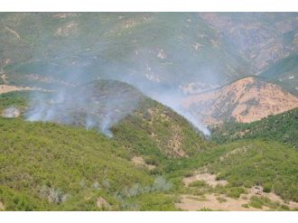 Tunceli’de Orman Yangını