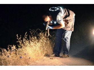 Malatya’da Silahlı Kavga: 1 Yaralı