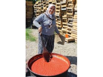 Kış Hazırlığı Bu Yıl Erken Başladı