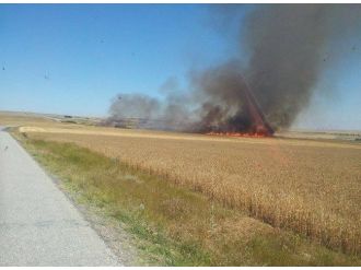 Sorgun’da Karga 100 Dekarlık Ekili Arazinin Yanmasına Sebep Oldu