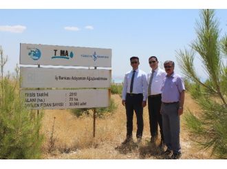 ‘81 İlde 81 Orman Projesi’ İle Binlerce Ağaç Hayat Buldu