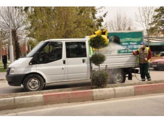 Bolu’da Sinek Ve Haşere İlaçlamaları Yapılıyor