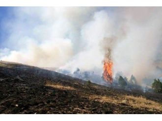 Şiran’da Çayır Yangını