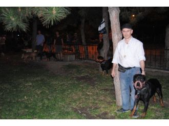 Afyonkarahisar’da Hayvanseverler Yeşil Parkın Hayvanları İçin Düzenlenmesini İstedi