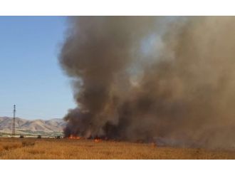 Yangın Esnasında Dozer Altında Kaldı