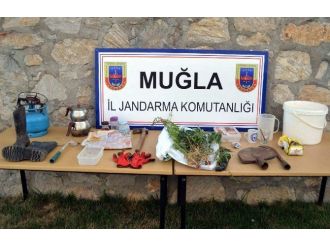 Datça’da Uyuşturucu Operasyonu